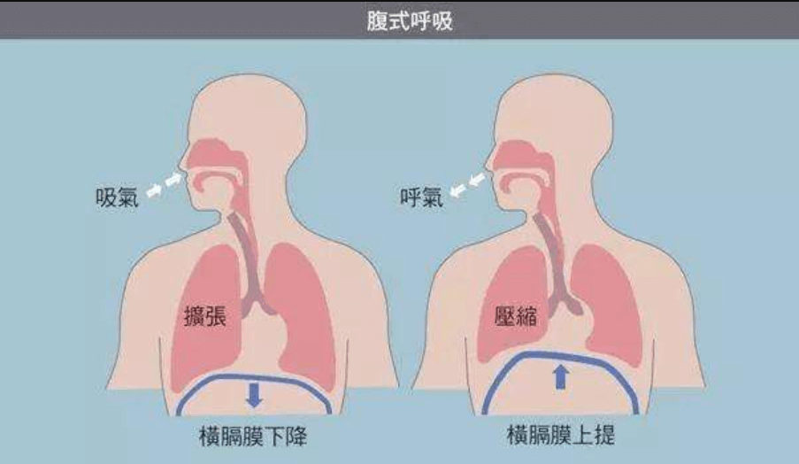 運(yùn)動(dòng)健身APP開發(fā)公司哪家好？